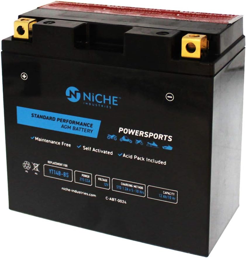 NICHE Battery for YT14B-BS AGM Sealed Maintenance Free | 215CCA 12V Self Activated | Motorcycle | for Hyosung and more