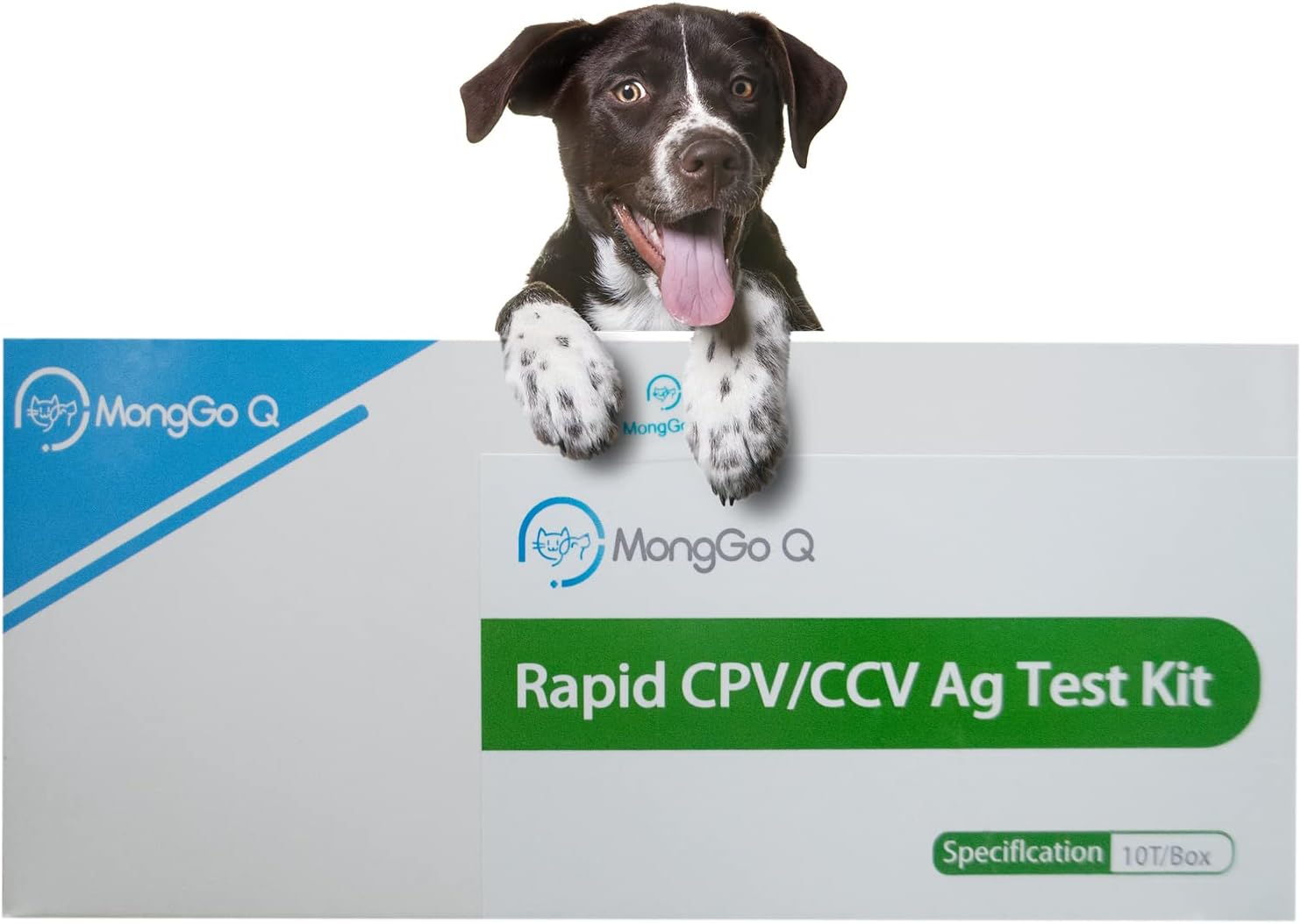 MONGGO Q Rapid Ag Detection of Canine Mouth and Nose Secretions Testing Kit for Dogs(Pack of 10)