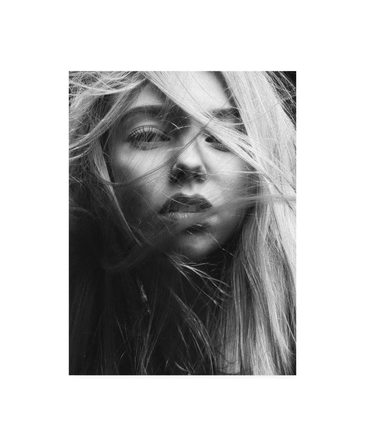 Trademark Fine Art Ic01434-C1824Gg Design Fabrikken 'Face 3 Fabrikken'