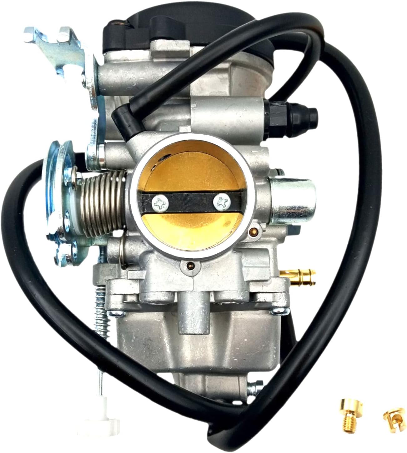 Ombialo GZ250 Carburetor Compatible with Suzuki GZ250 Carb 1999-2015 Replace No.13200-13F30 13200-13F40