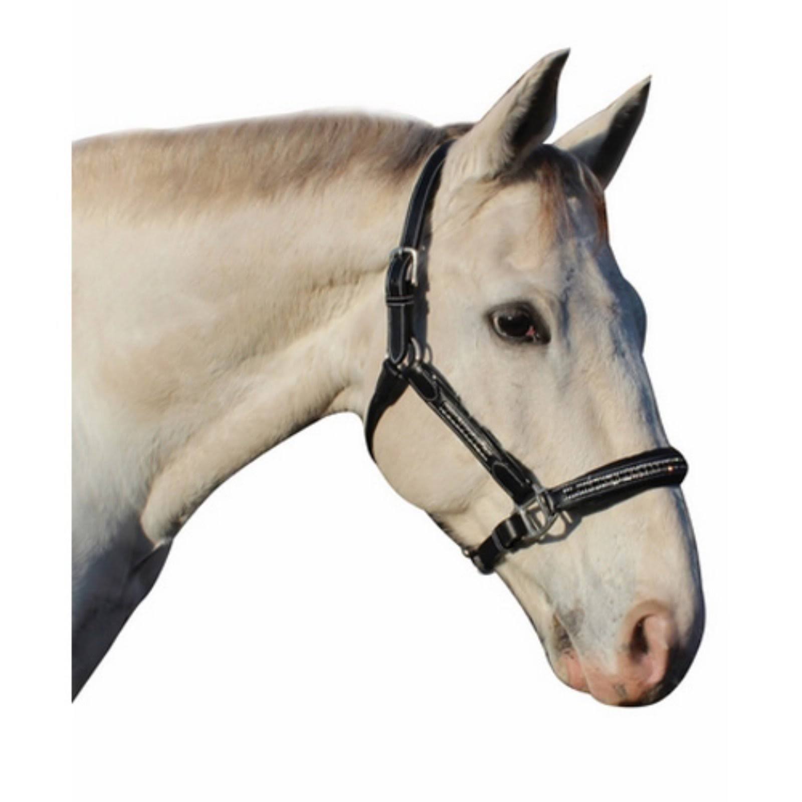 Henri De Rivel Padded Jewel Halter Horse Black