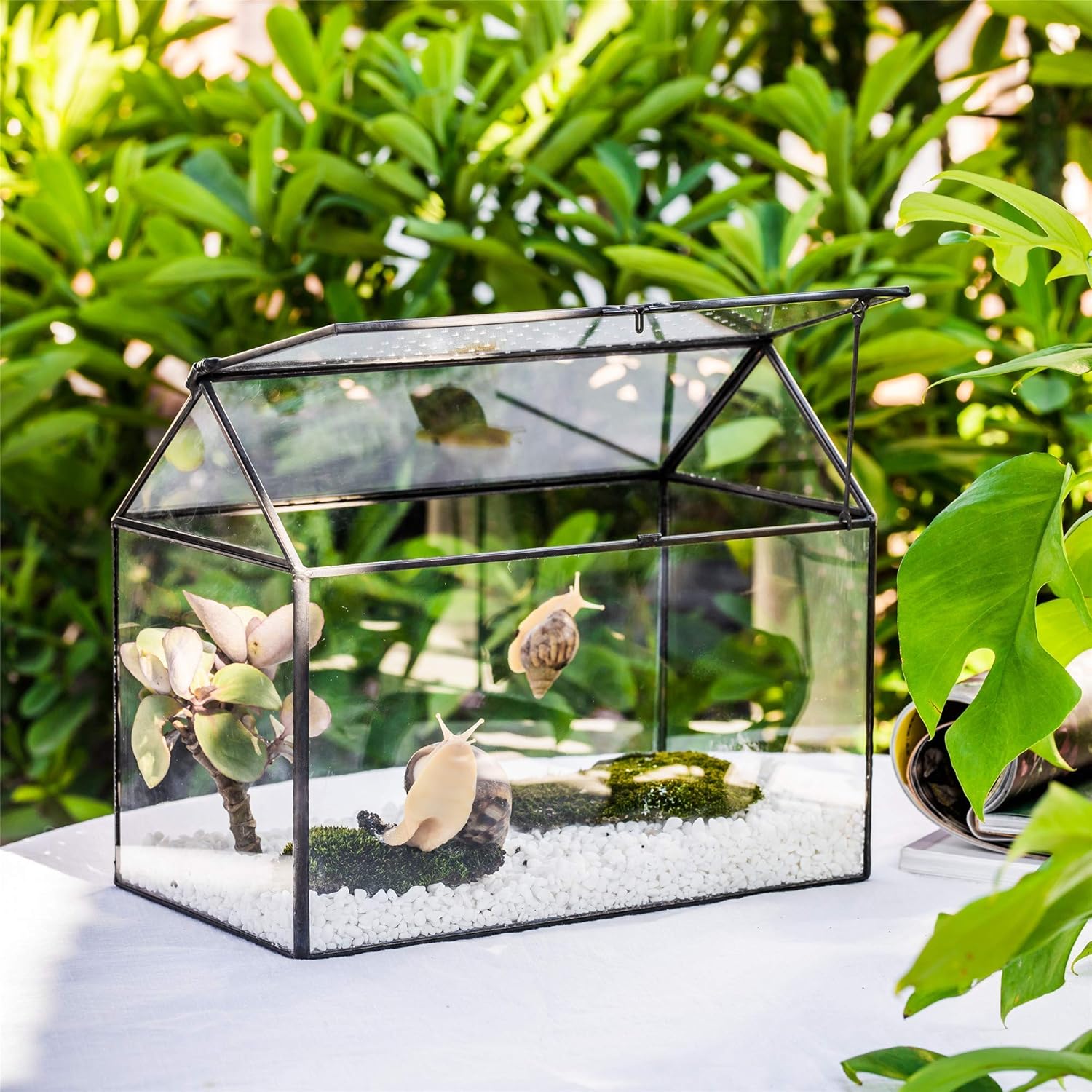 NCYP Handmade Large House Shape Tabletop, Black Geometric Glass Terrariumn Box with Swing Acrylic Lid ( Terrarium Only ) Pack of 2