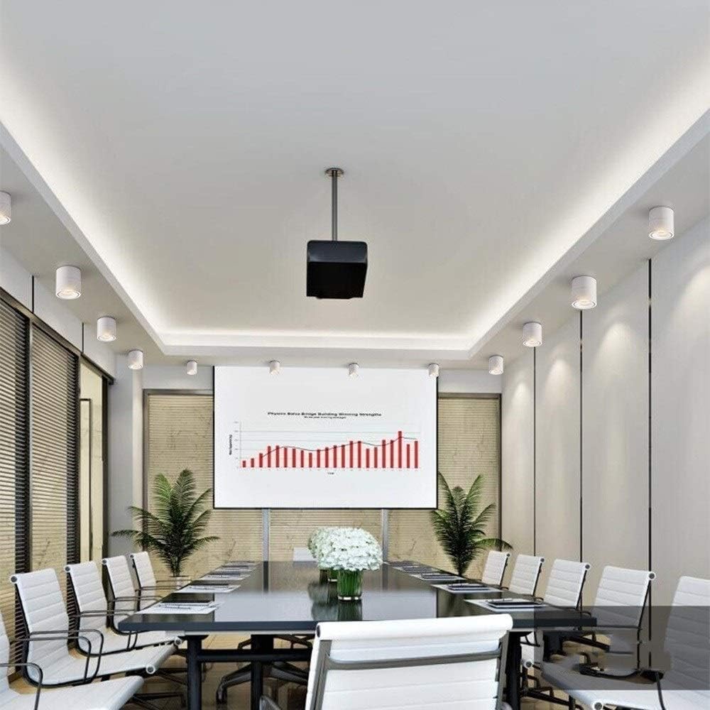 Bwldma Modern Indoor Spotlight Adjustable 360&deg; Downlight Home Background Wall Spotlight Accent Lighting Ceiling Light Clothing Store Cloakroom Decorative Lighting (Color : Neutral Light 4000K)