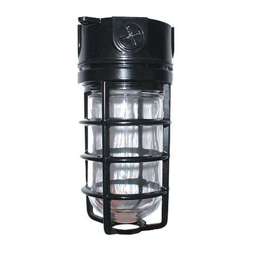 RAB Vaporproof 100 Ceiling 4 inch Box 1/2 inch Black Glass Globe Cast Guard (VX100DGB)