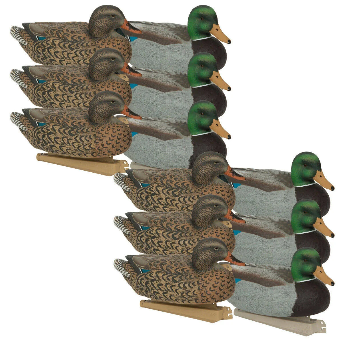 Avery Essential Series Mallard, 12 Pack