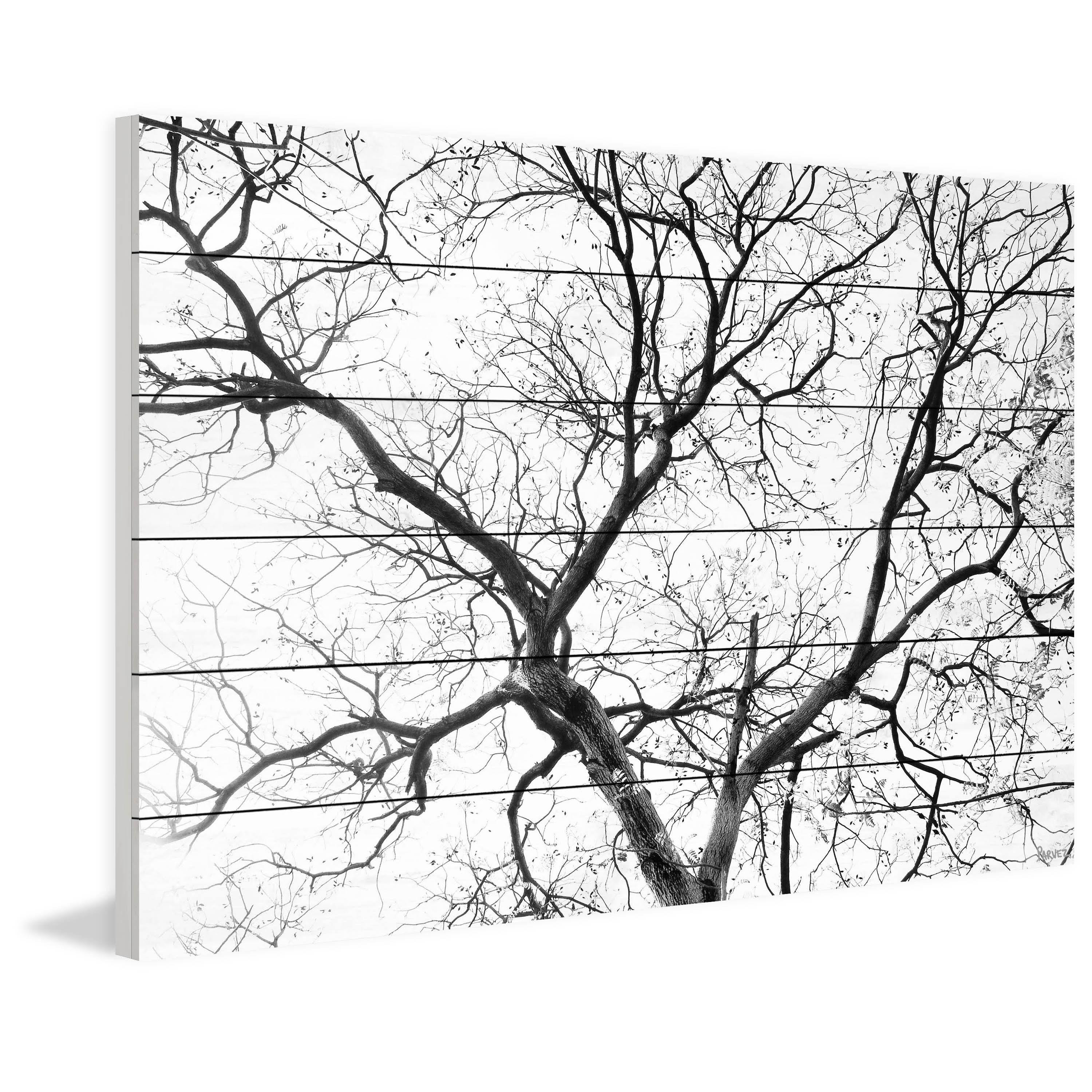 Parvez Taj - Black Branches Painting Print on White Wood 60 x 40