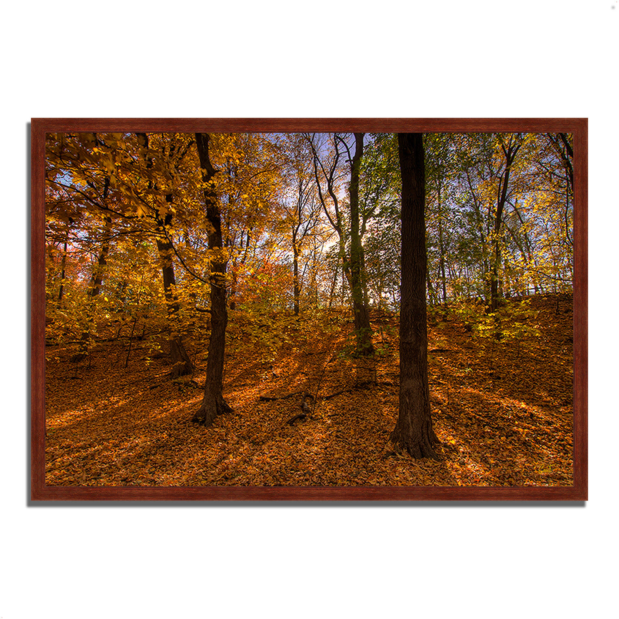 Winston Porter 'Sun Spackled Wood' Framed Photographic Print, Bronze