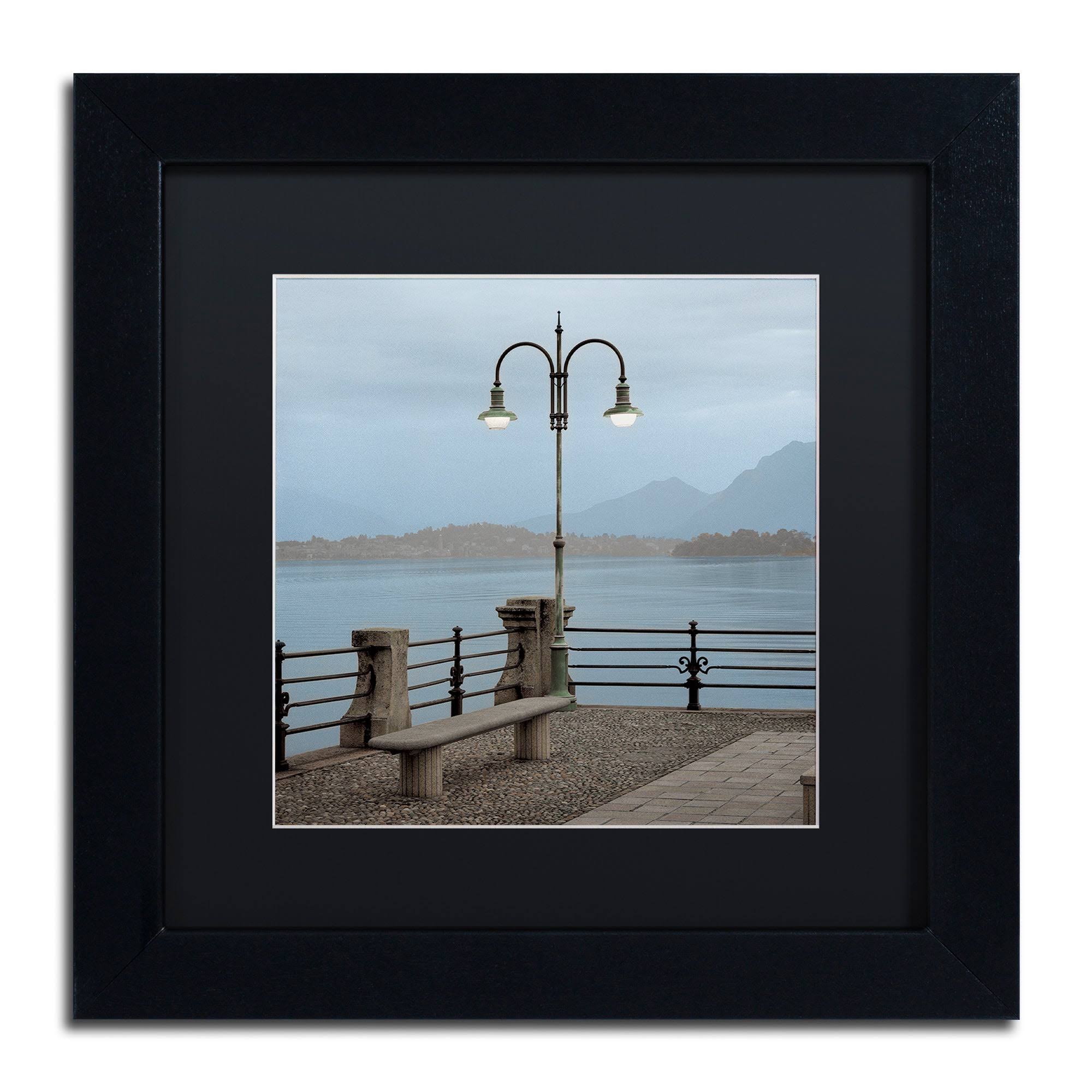 Trademark Art Alan Blaustein 'Lake Vista V' Black Matted Framed Art