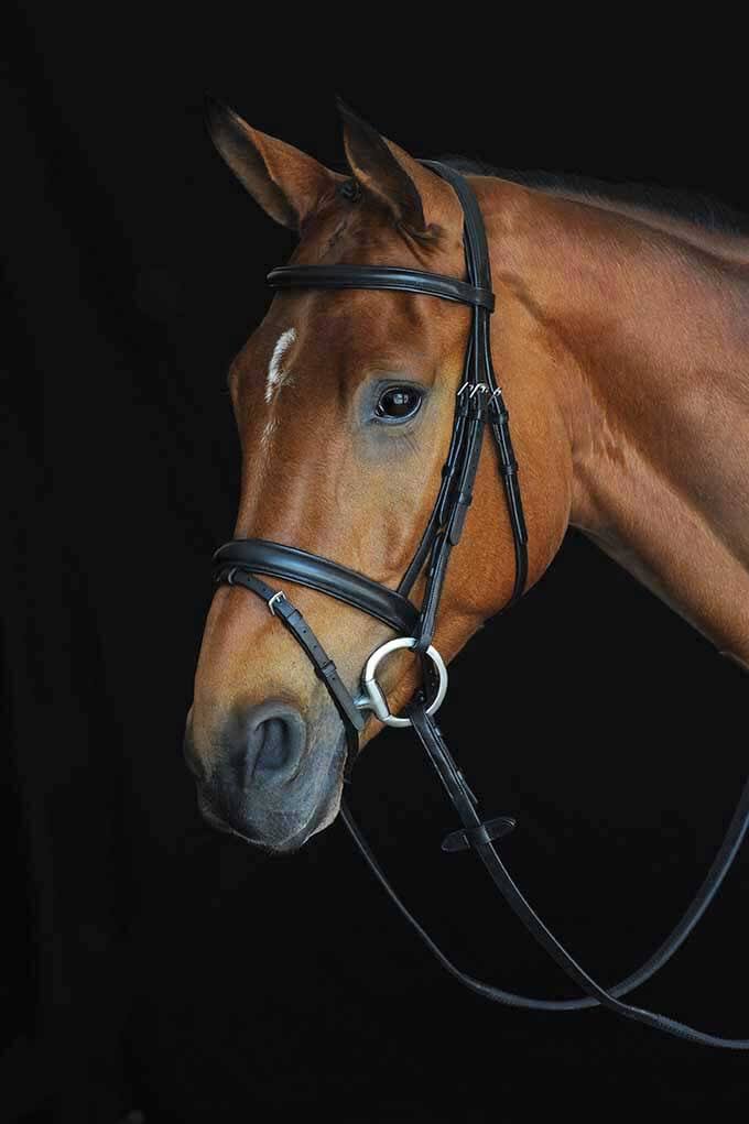 Collegiate Comfort Crown Padded Raised Flash Bridle - Black - Full