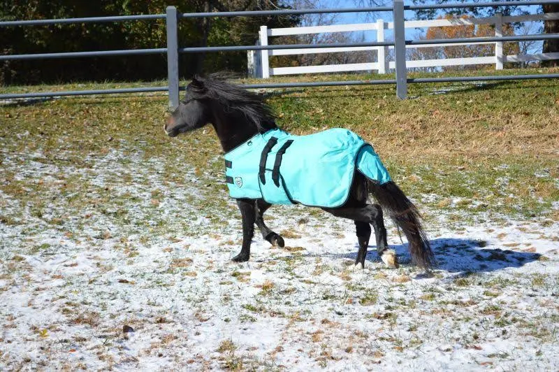 Ozark Mini/Pony Light Waterproof Blanket XL Blk, Black