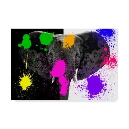 Trademark Fine Art Ph01114-C2232Gg Philippe Hugonnard &Black and White