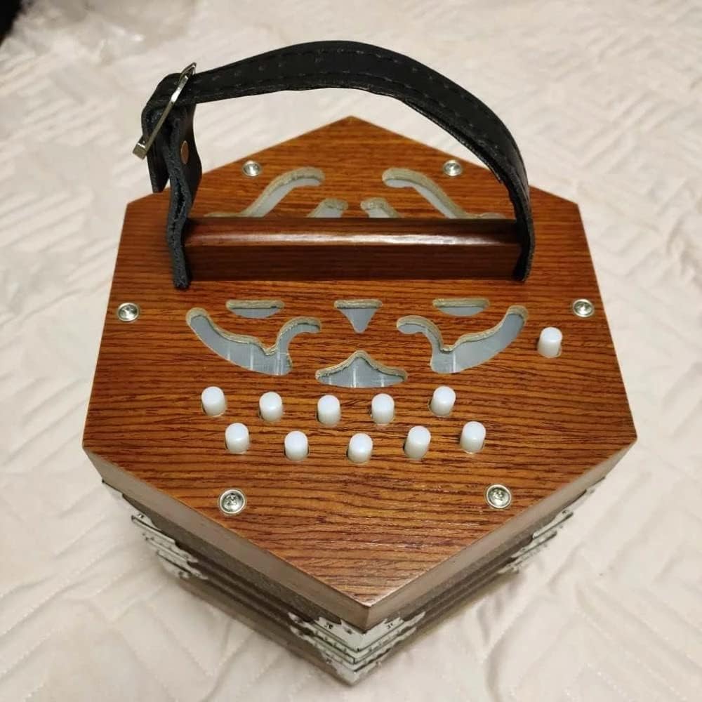 Professional 20 Buttons Piano Accordion Concertina Musical Instrument, Gift for Children and Friends