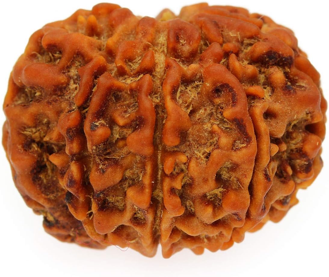 SitaRama RDB009A Rudraksha Beads 9 Sided (Nepal)