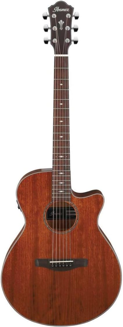 Ibanez AEG220 Okoume Acoustic-Electric Guitar, Natural Low Gloss