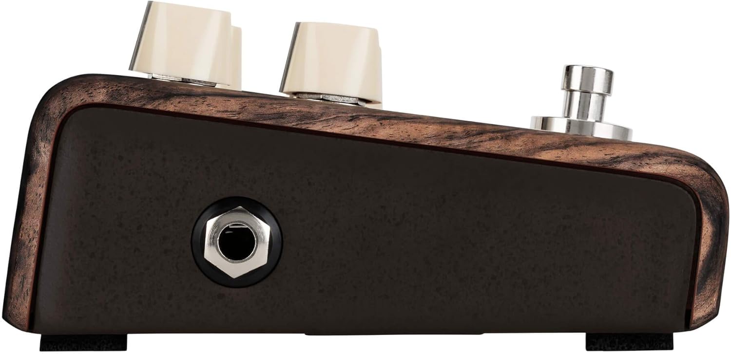 L.R. Baggs Align Chorus Acoustic Guitar Effects Pedal