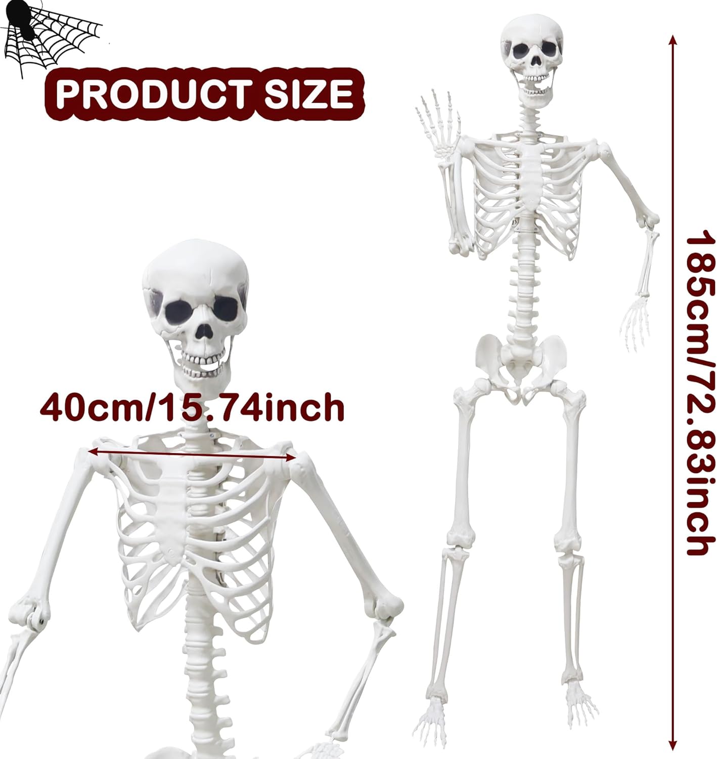 Halloween Skeleton Decorations,5.9Ft Life Size Skeleton 2PCS Posable Skeleton Full Size Plastic Human Skeleton with Movable Joint for Halloween Outdoor Indoor Decor (Grey, 5.9Ft)