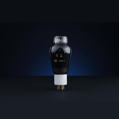 Treasure 300B-Z Vacuum Tube Matched Pair (2pcs) - Silver - Glass - Instrument Amplifier Tubes - Vacuum Tube - Physical Items