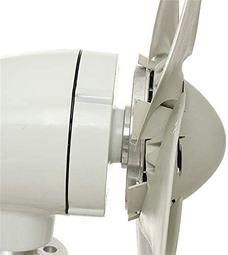 5000W 12V 24 V 48 Volt 6 Nylon Fiber Blade Horizontal Home Wind Turbines Wind Generator Power Windmill Energy Turbines Charge,White,48v
