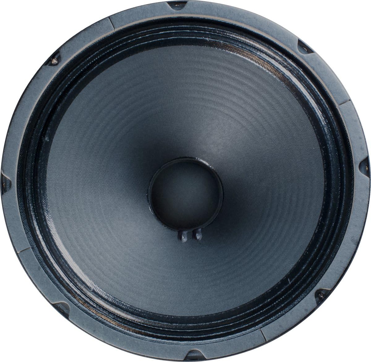 Speaker - Jensen Jets, 12