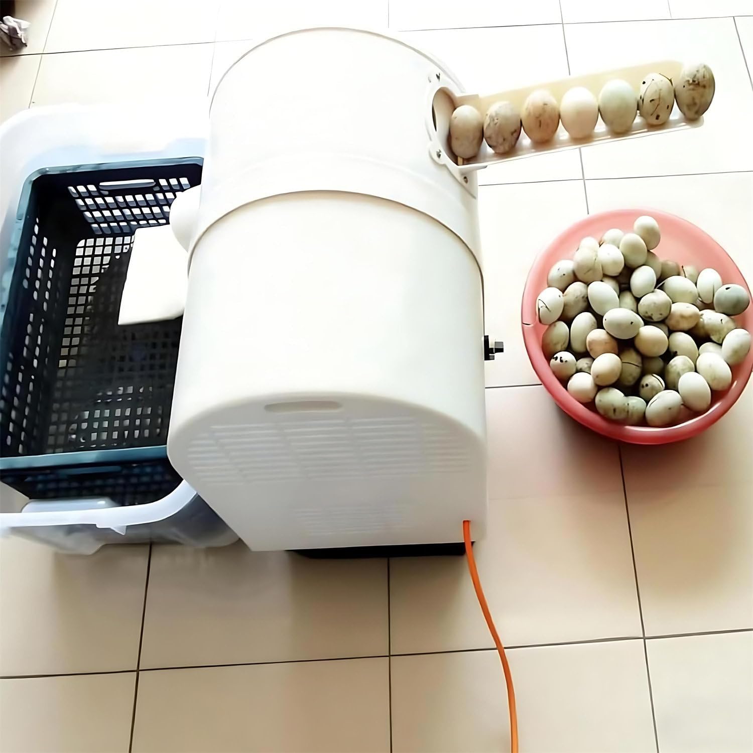 Automatic Egg Washer, Commercial Egg Cleaner System, 2,300 Eggs/H Chicken Duck Goose Egg Brushing Machine, Compact Egg Cleaning Brush Machine Tool
