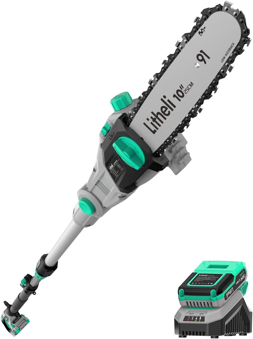 Litheli Pole Saw Battery Powered for Tree Trimming, 10'' Electric Cordless Pole Saw with 20V Battery for Tree Trimming, Battery&Charger Included, Pole Chainsaws for Branch Cutting, Trimming