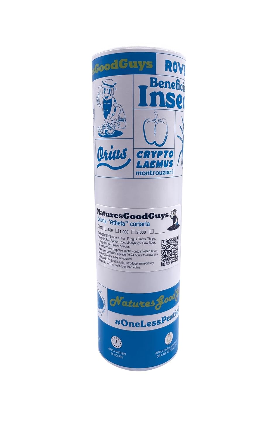 Dalotia (Atheta) coriaria - Rove Beetle - 1,000 Insects per Unit