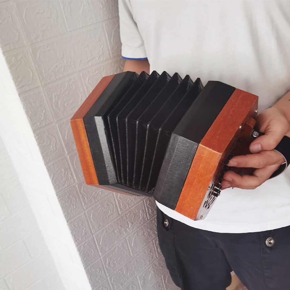 30 Buttons Accordion Concertina, Entry Level Keyboard Instrument, Fascinating Softer Sound, for Children Friends, with Carry Bag