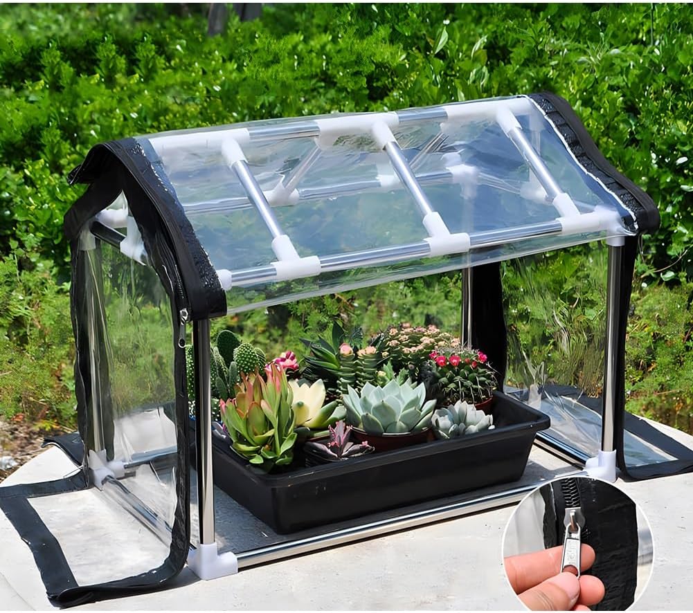Zfmnoyev Mini Greenhouse Tabletop, Portable Green Houses for The Garden, Flower Tent Shelter with Clear PVC Cover Stainless Steel Frame, for Indoor Outdoor Backyard(100x50x50 cm)