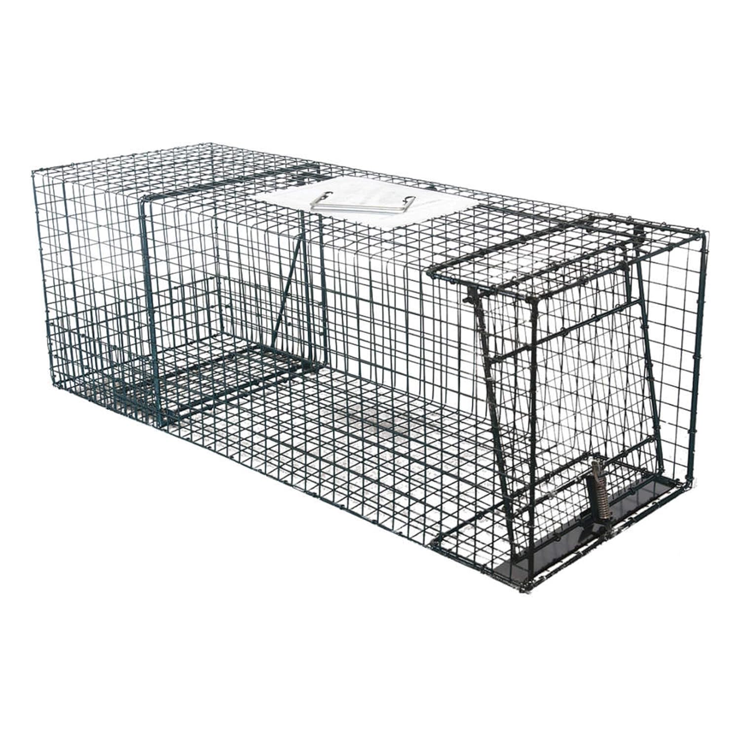 Live Animal Cage Trap, 36 inLx13inWx13inH