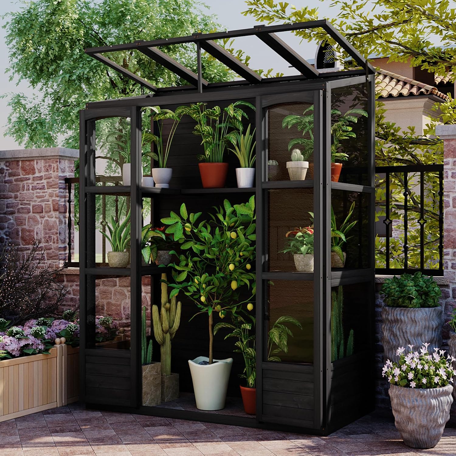 Modern Outdoor Wooden 78-inch Greenhouse Cold Frame with 4 Independent Skylights and 2 Folding Middle Shelves, Walk-in Greenhouse for Patio Garden Lawn Backyard (Black@Skylights)