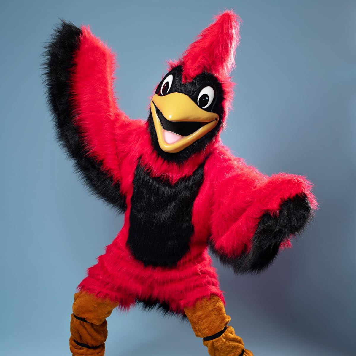 TCDesignerProducts Friendly Red Cardinal Mascot Costume, School Spirit Sports Fan Gear, Football Cheerleader Accessories, Homecoming
