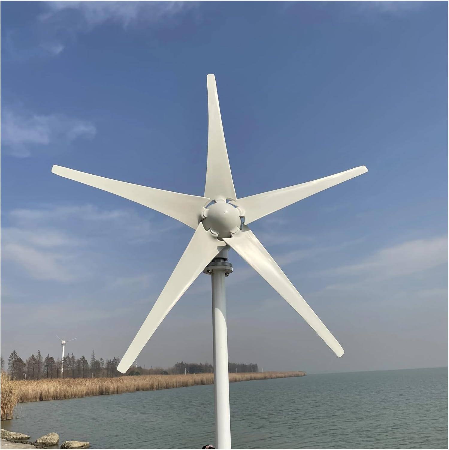Wind Turbines, Small Wind Turbine Free Energy 3000w 48v 24v 12v 5 Blades Windmills RV Yacht Farm for Home Use(12V)