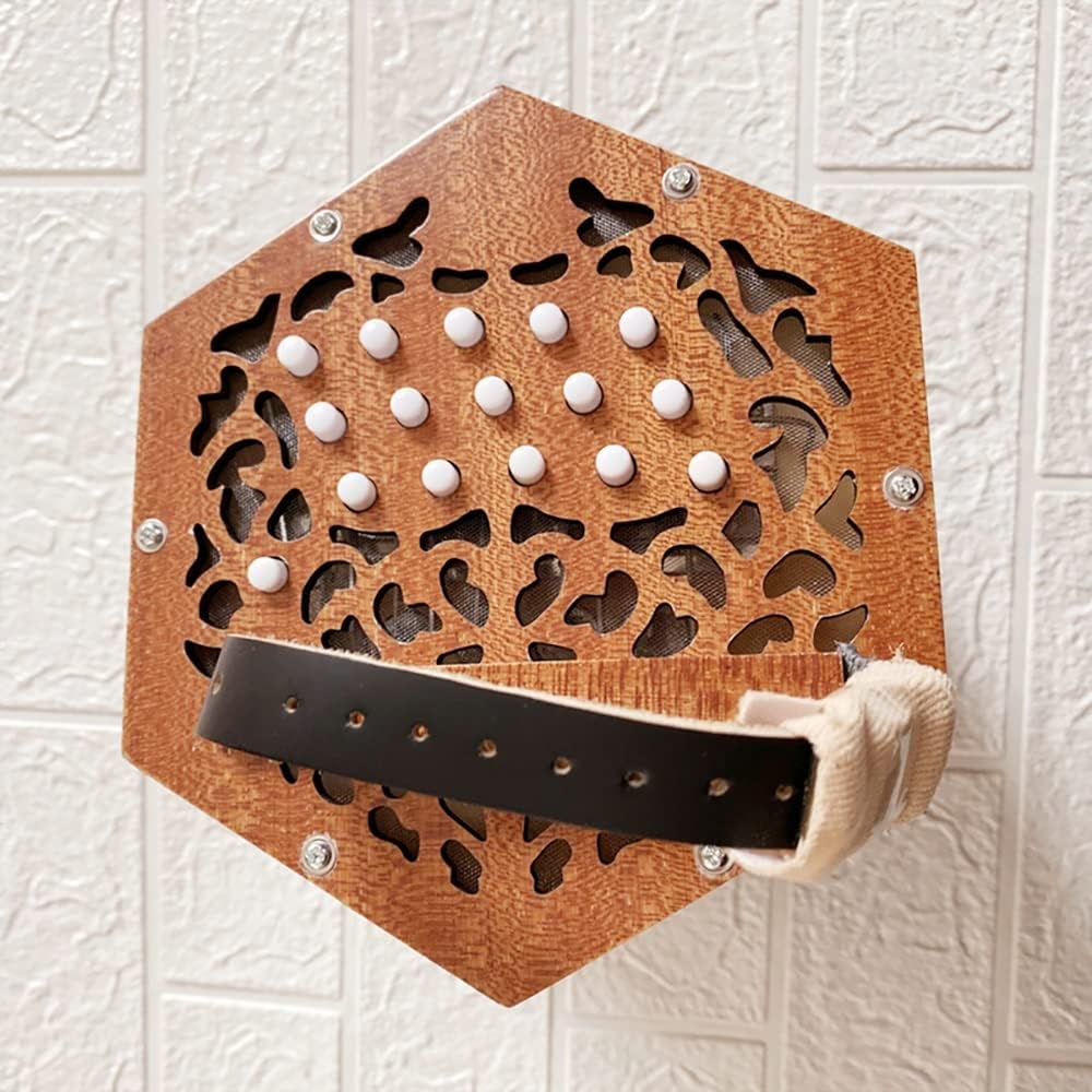 30 Buttons Accordion Concertina, Fascinating Softer Sound, Entry Level Keyboard Instrument, for Children Friends, with Carry Bag