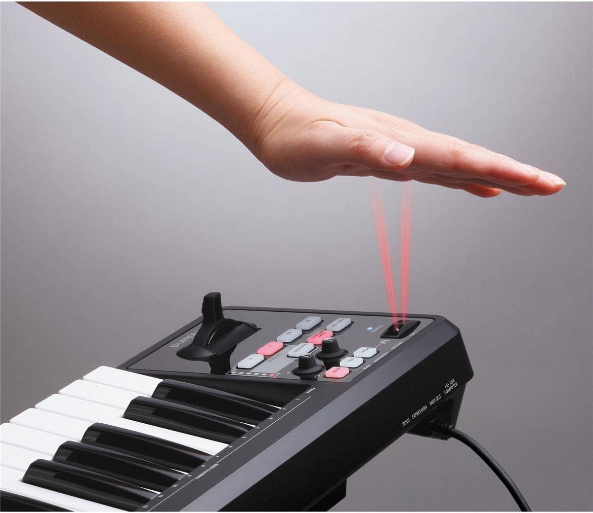 Roland Lightweight 49-Key MIDI Keyboard Controller, black (A-49-BK)