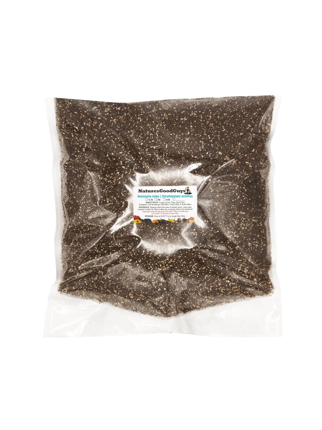 125,000 Live Hypoaspis Miles (Stratiolaelaps scimitus) Ships Next Day!