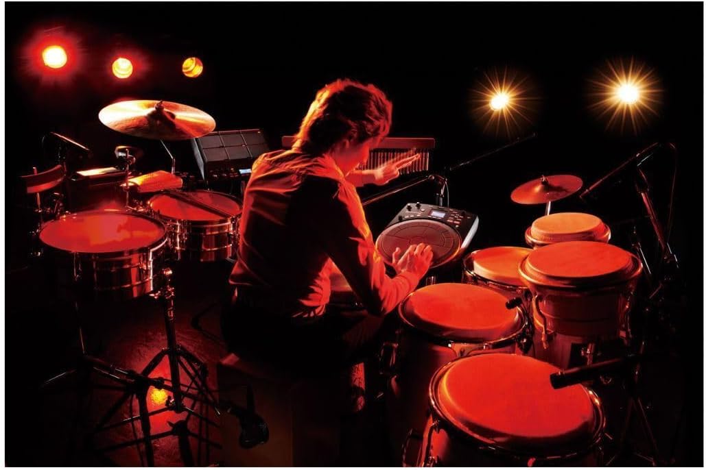 Roland HPD-20 Digital Hand Percussion Instrument, 3 Inch (HPD-20), Multicolor