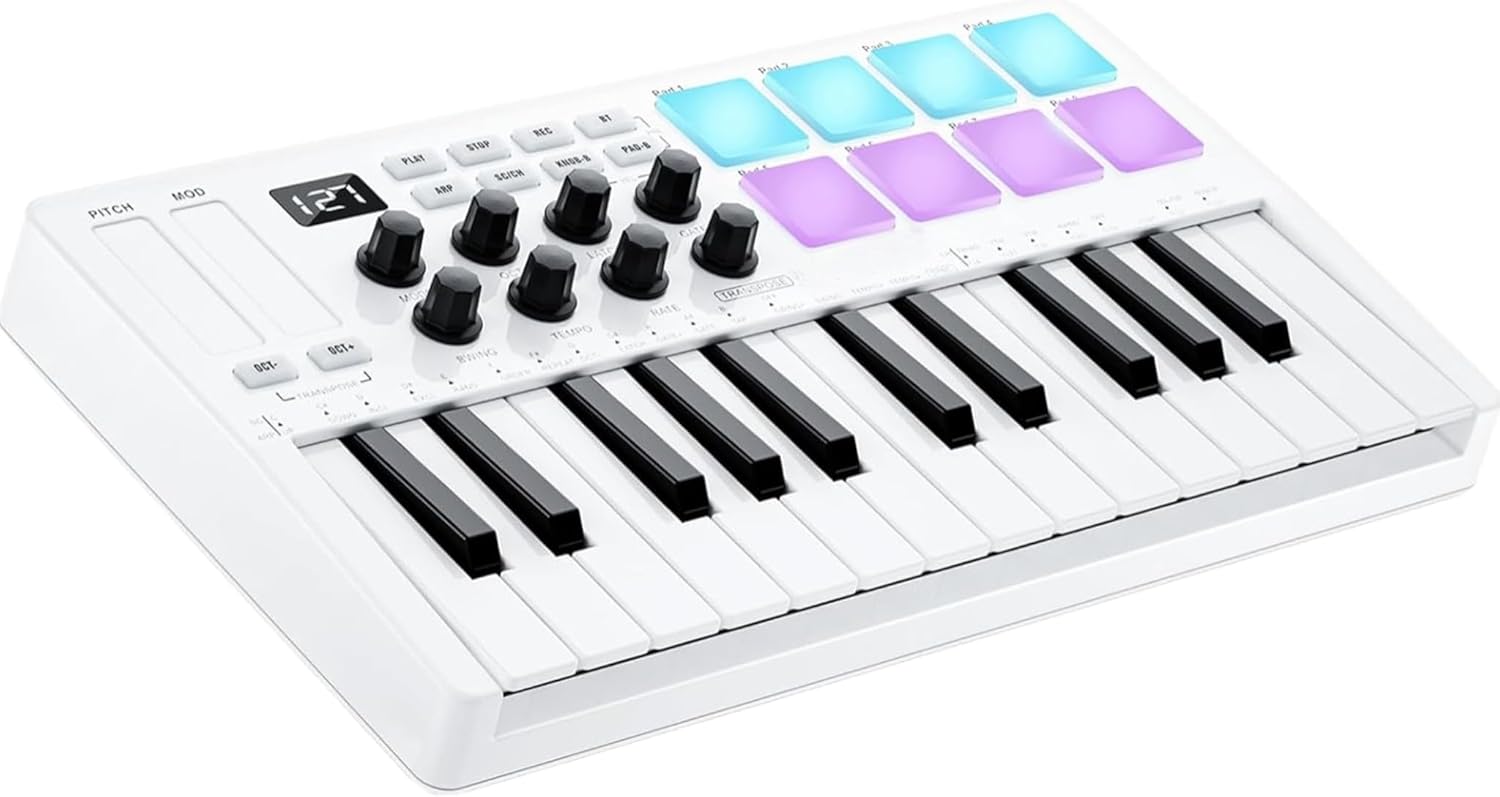 25-Key MIDI Control Keyboard and Single Channel Passive DI-Box Hum Eliminator