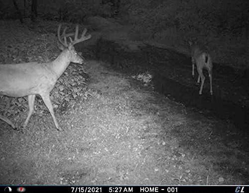 Cuddeback Cuddelink 3 Long Range IR Cameras L Series 3 Solar Power Banks Models PW-3600 3 16GB SD Cards New