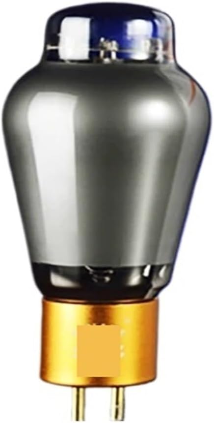 Vacuum Tube Rectifier 300B-TII Electronic Tube Replacement 300B Vacuum Tube Factory Precise Matching for Amplifier(2 Pcs)