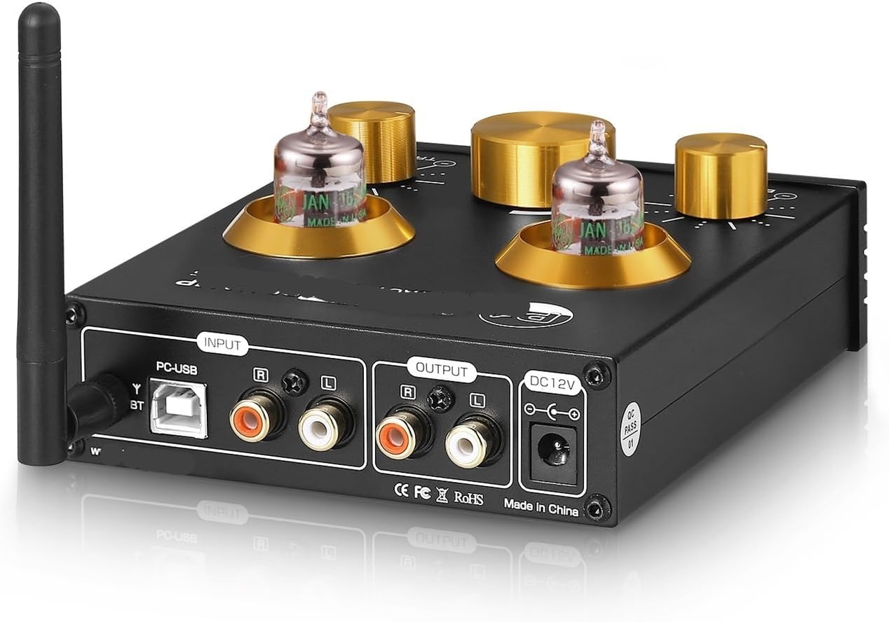 P1 HiFi 5654 Tube Preamplifier 5.0 Audio Receiver U DAC Headphone Amplifier X