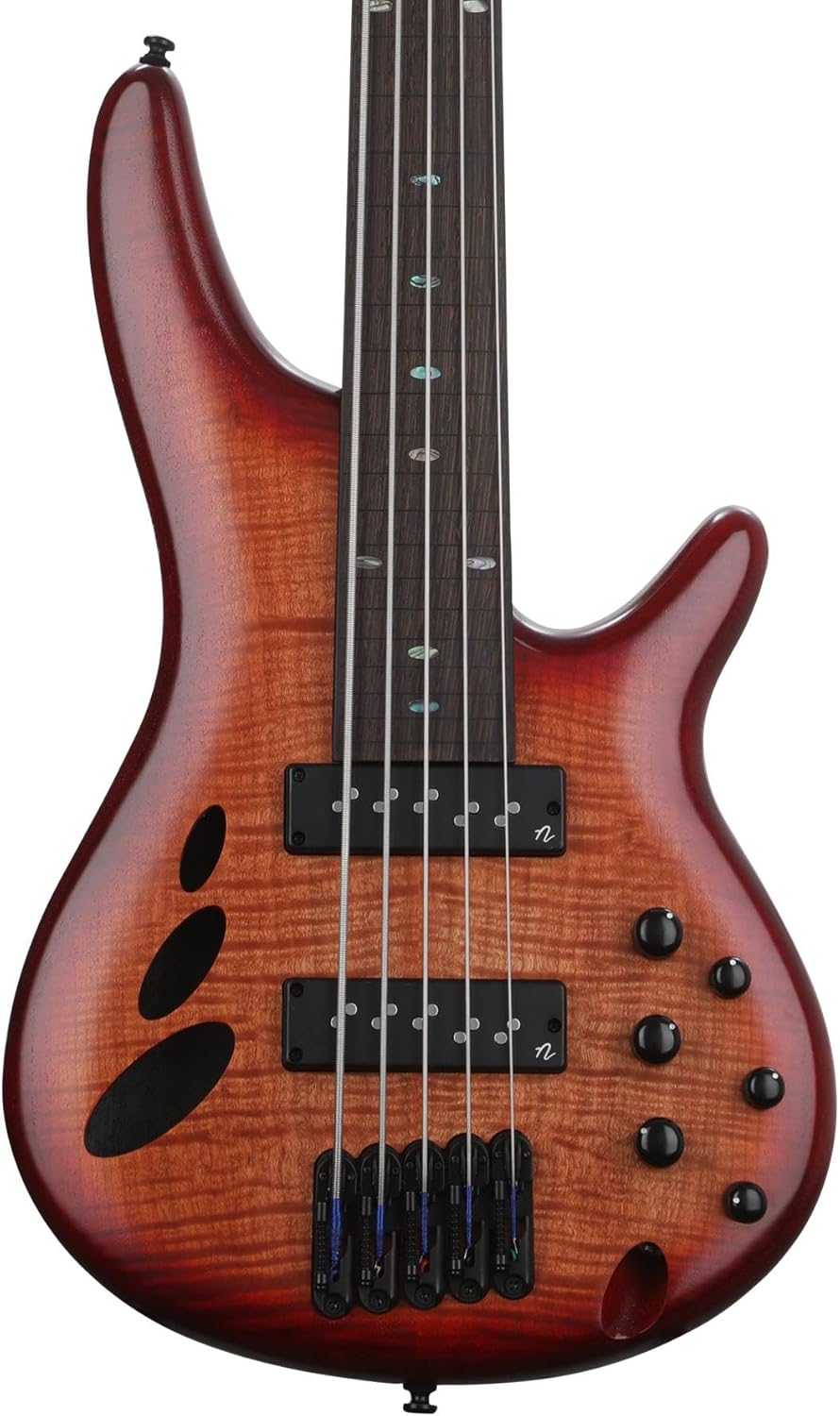 Ibanez SR Bass Workshop Fretless 5-string Electric Bass - Brown Topaz Burst Low Gloss
