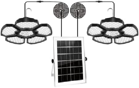 Outdoor Pendant Light (2-in-1)