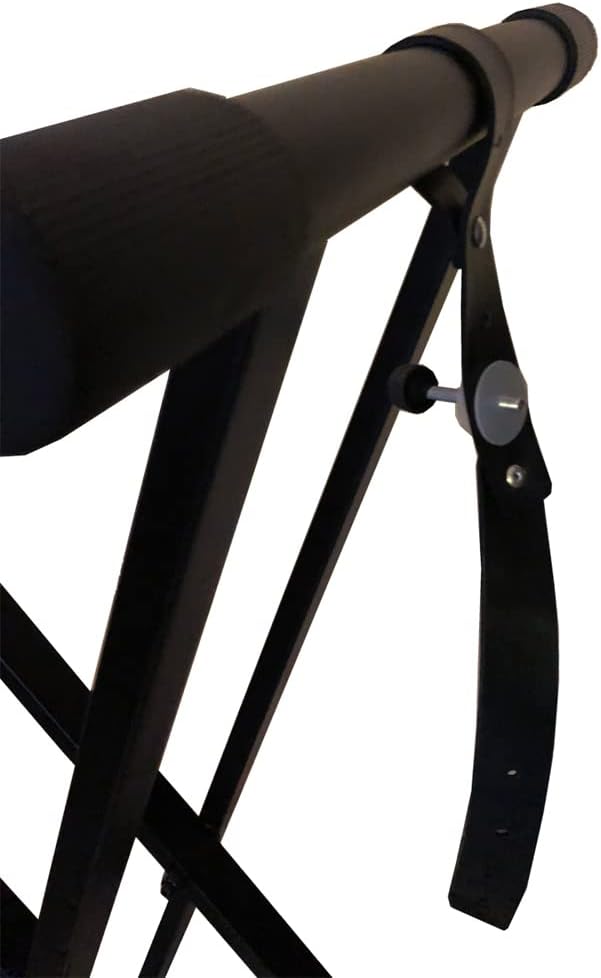 Alesis Recital | 88 Key Beginner Digital Piano/Keyboard with Full Size Keys & RockJam Xfinity Heavy-Duty, Double-X, Pre-Assembled, Infinitely Adjustable Piano Keyboard Stand with Locking Straps