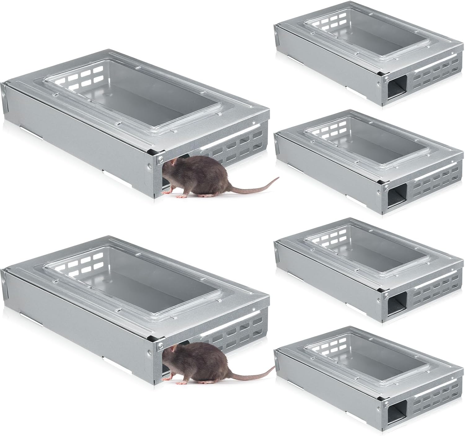 Qualirey 8 Pack Multi Catch Mice Trap Clear Top Humanized Mouse Trap Rodent for Indoor Outdoor Rat Control Pet and Security (Silver)