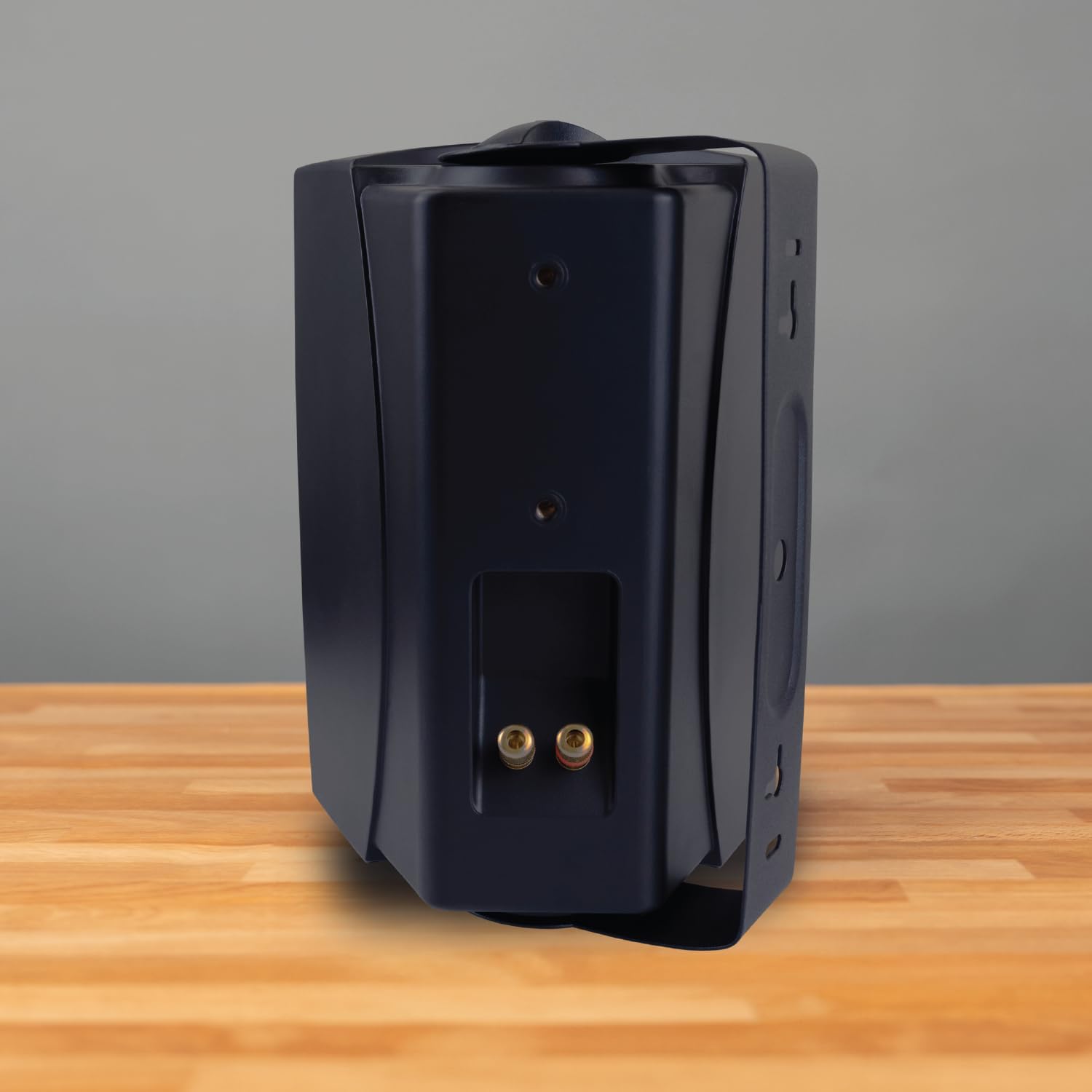 Dual Electronics LU53PB 5.25