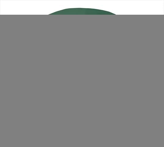 Weathermax Medium Firepit Cover, Forest Green - 35 Dia x 16 H in.