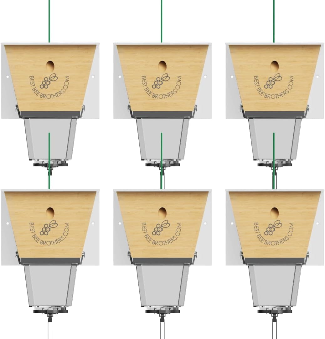 Best Bee Brothers Ultimate Pro Carpenter Bee Trap for Outside with Extra-Large, Clear External Bee Vault & Spring-Loaded Door, 4.2” D x 5.8” W x 7.5” H (6 Pack)