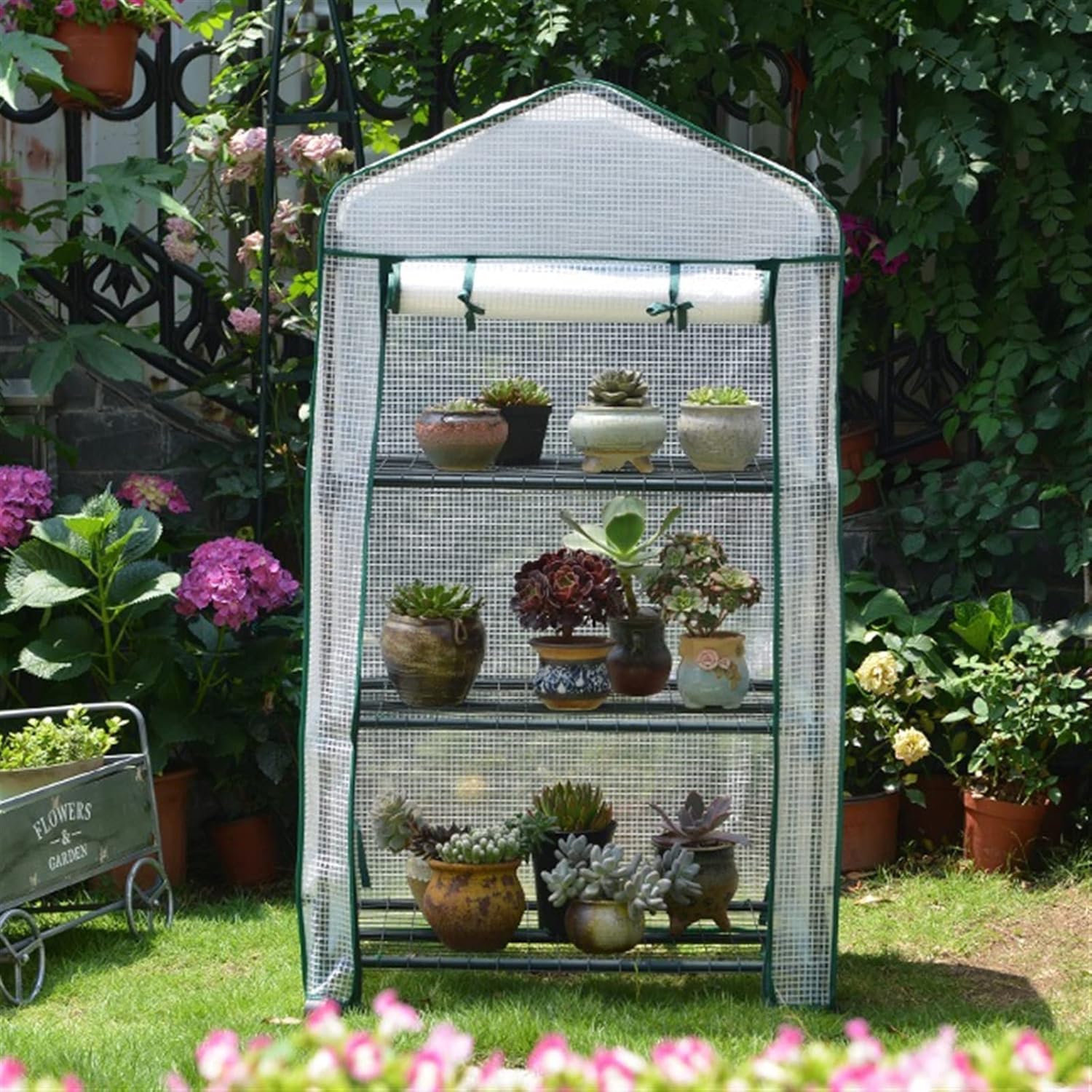 Small Grow Greenhouse,Fast Setup Reusable Indoor Outdoor Plastic Plant Gardening Green House,Grow Seeds & Seedlings, Metal Shelves for Garden Yard Patio ( Color : White , Battery *1 : 3 Tier )