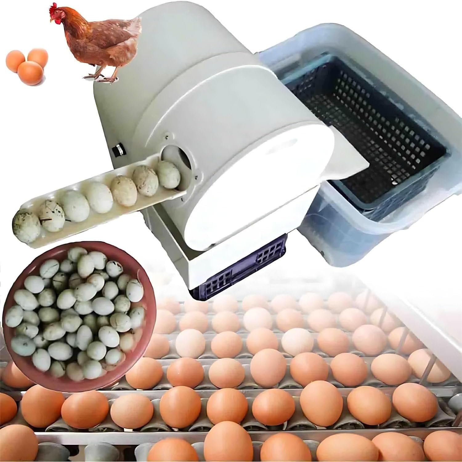 Automatic Egg Washer Machine, Electric Egg Washer Machine with Roller Brush, Egg Cleaning, 2300 Pcs/H Chicken Duck Goose Egg Egg Cleaner Wash Machine