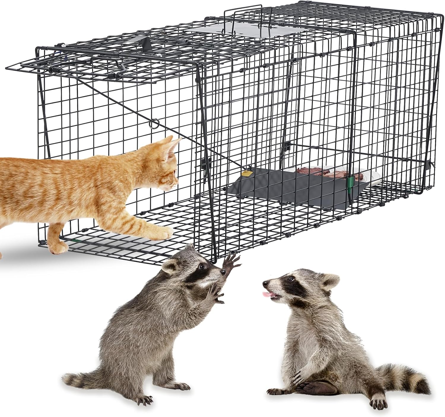 Humane Live Animal Trap for Raccoons, Stray Cats, and Similar-Sized Animals. 37 inch Large Heavy-Duty Construction, Reusable, Black Finish to Minimize Reflection and Glare.